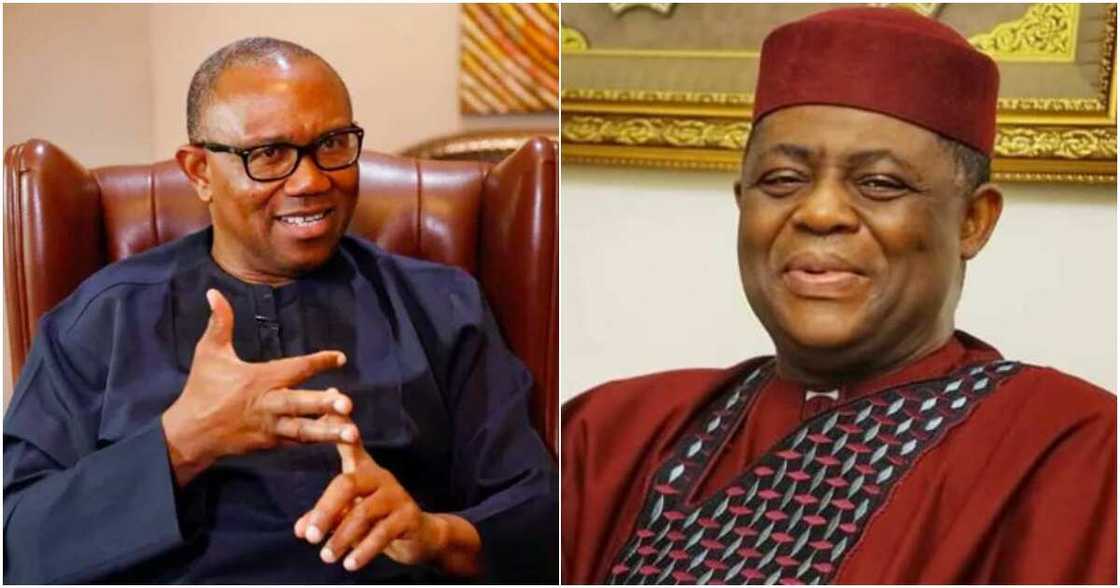 Pan-Yoruba socio-cultural organisation, Afenifere, Pa Ayo Adebanjo, Peter Obi, Femi Fani-Kayode, 2023 presidential election Pan-Yoruba socio-cultural organisation, Afenifere, Pa Ayo Adebanjo, Peter Obi, Femi Fani-Kayode, 2023 presidential election