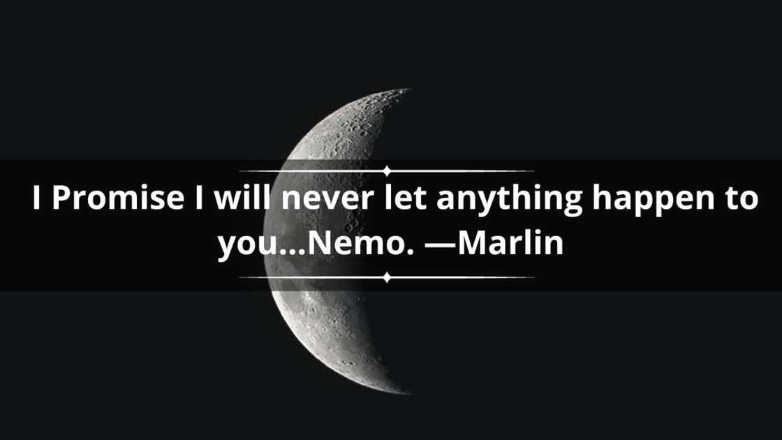 Nemo quotes