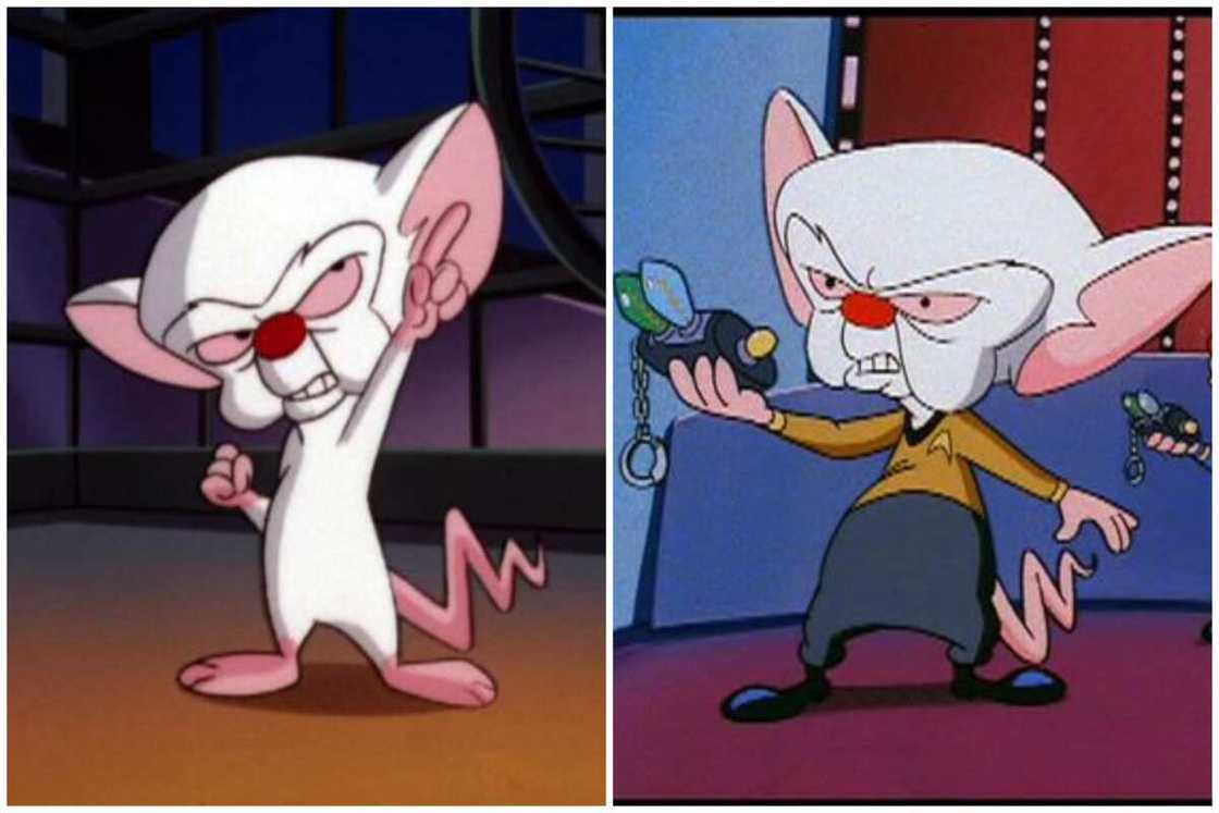 characters with huge foreheads characters with huge foreheads