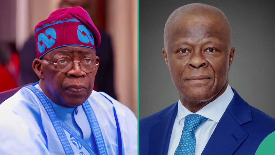 Tinubu's FG end fuel, FX subsidies, details emerge Tinubu's FG end fuel, FX subsidies, details emerge