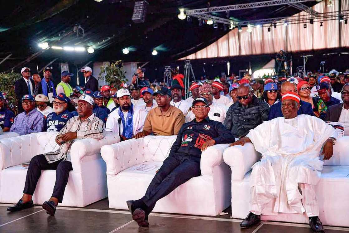 Sanata Rabiu Musa Kwankwaso da Mr Peter Obi