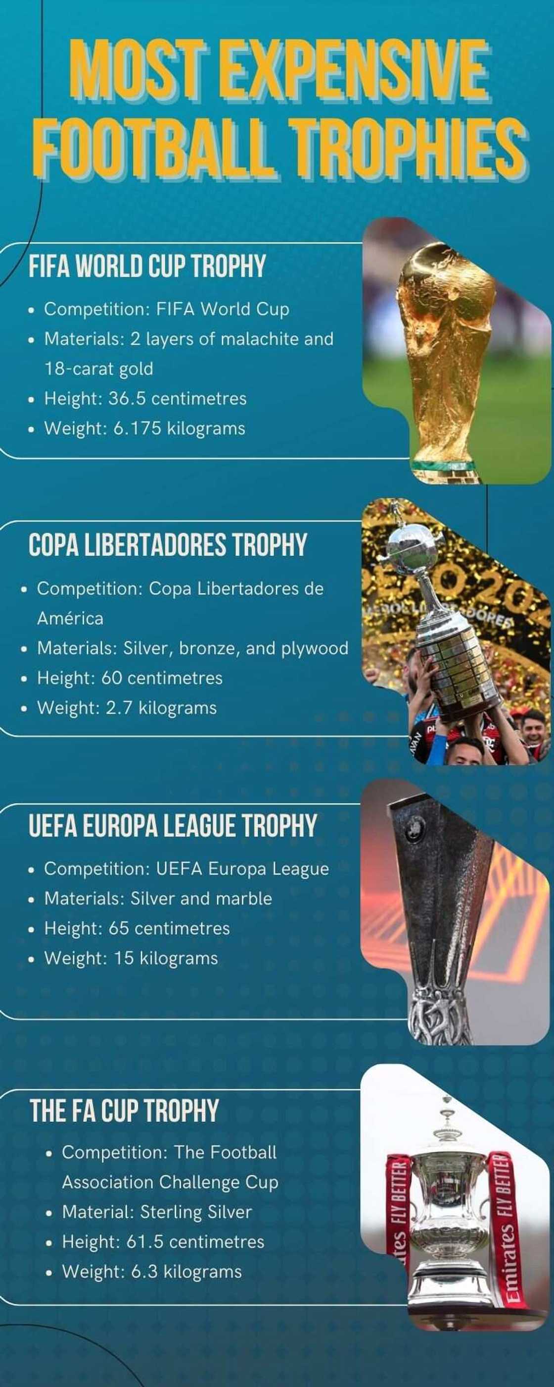 Most expensive football trophies Most expensive football trophies