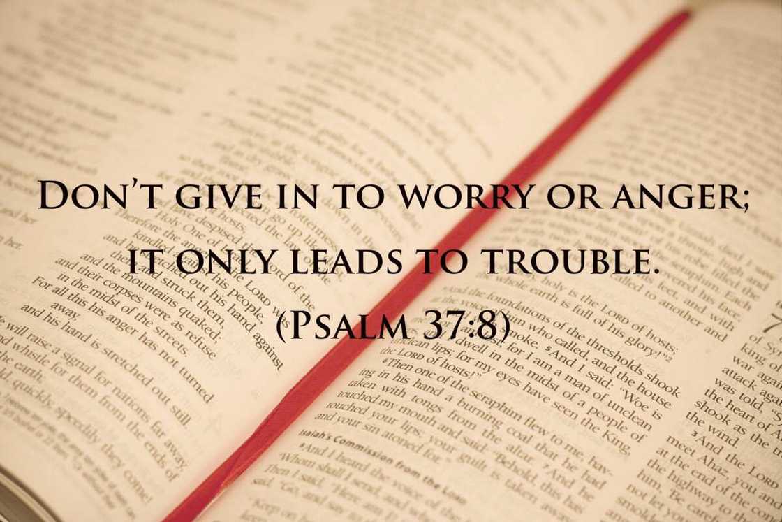 Bible about anger Bible about anger