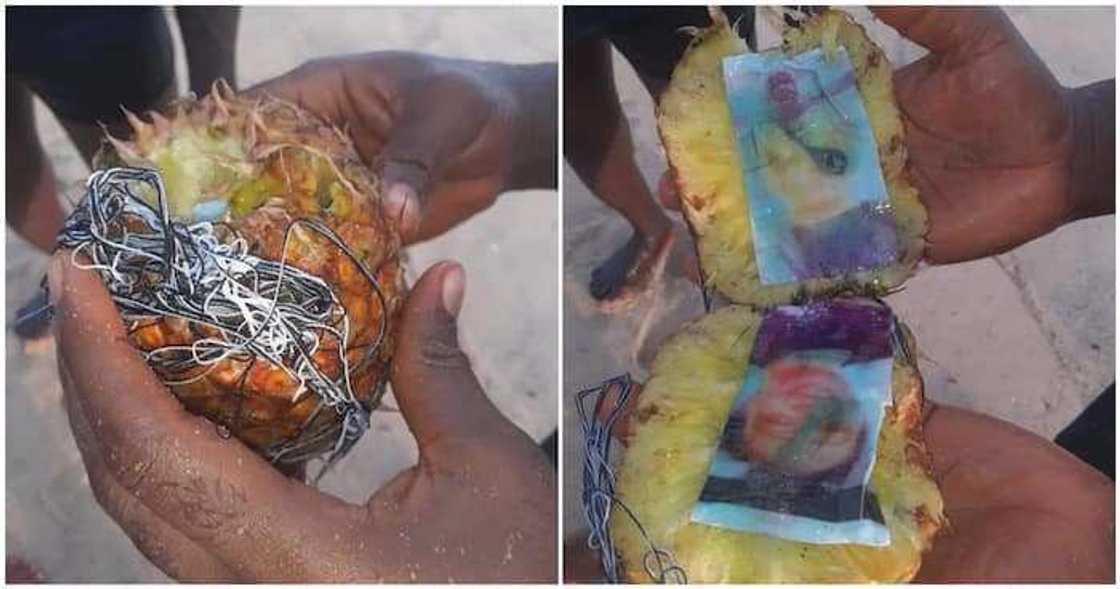 Hotuna: 'Dan Najeriya ya Tsinta Abarba a Teku Dauke da Hoton Saurayi da Budurwa an Dinke Hotuna: 'Dan Najeriya ya Tsinta Abarba a Teku Dauke da Hoton Saurayi da Budurwa an Dinke