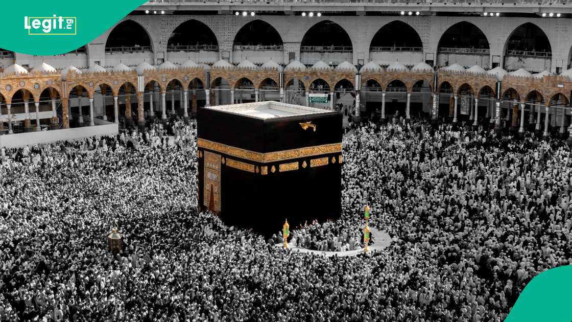 Pilgrims gather at Mount Arafat as the sermon reaches millions in multiple languages. Pilgrims gather at Mount Arafat as the sermon reaches millions in multiple languages.