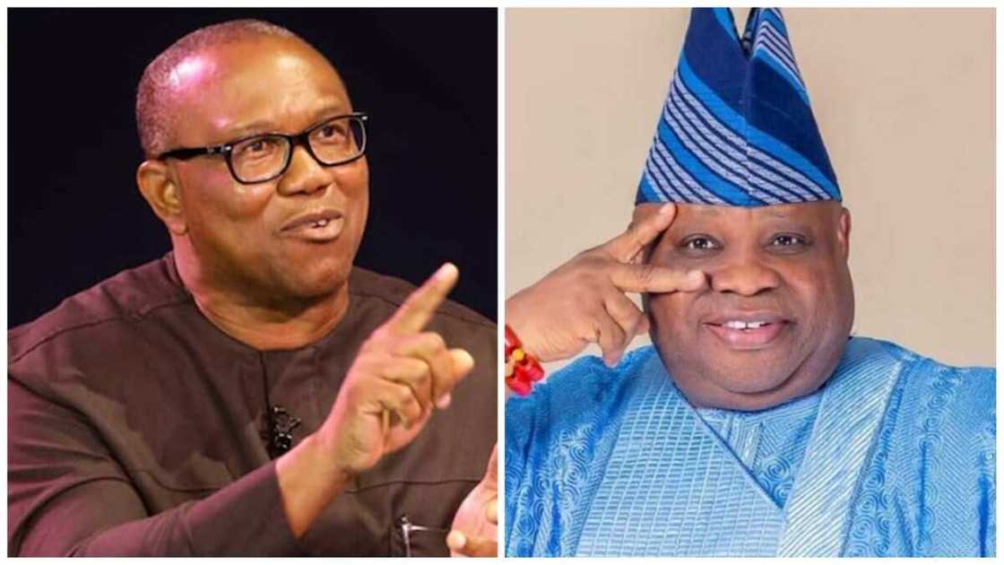 Ademola Adeleke, Peter Obi, Obidients, 2022 Osun governorship election, PDP, Labour party Ademola Adeleke, Peter Obi, Obidients, 2022 Osun governorship election, PDP, Labour party