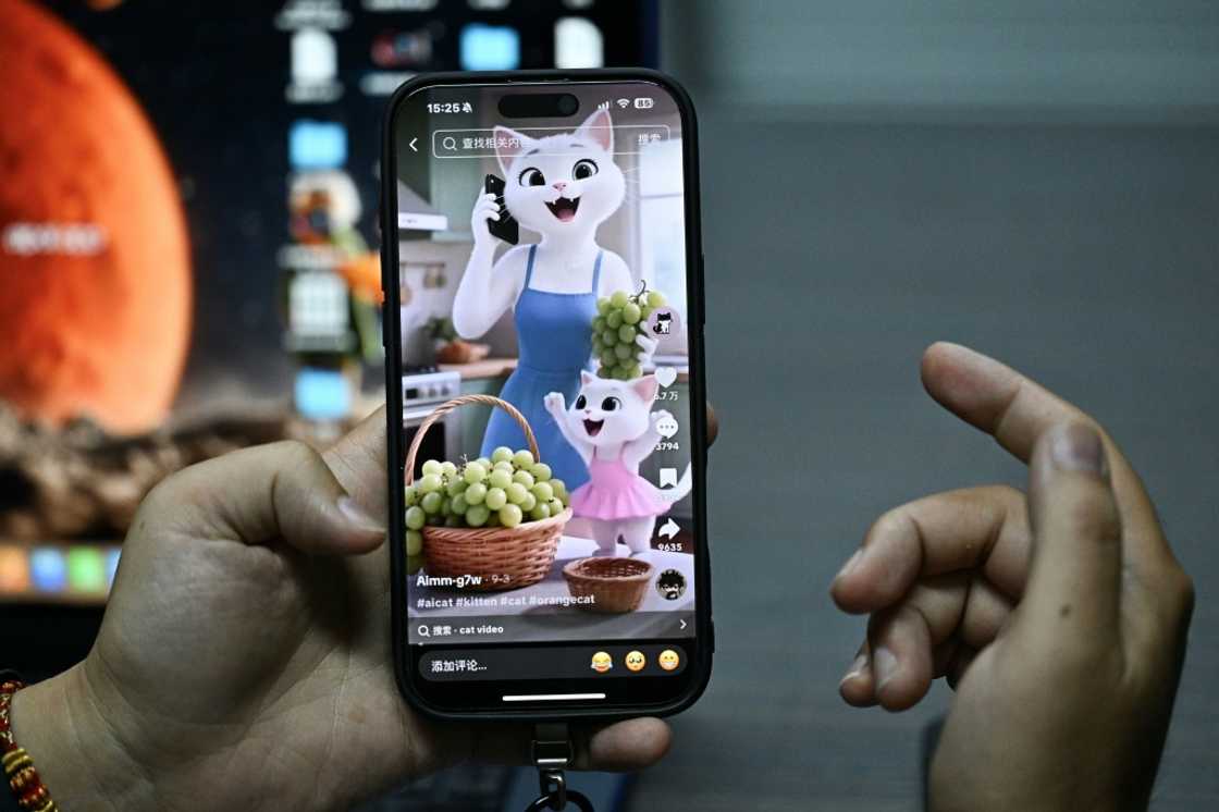 Artists globally have also raised concerns about copyright infringement, stemming from the material AI models are trained on