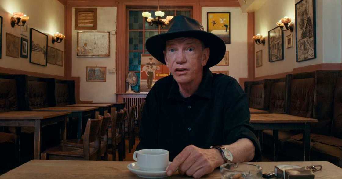 big cat rescue big cat rescue