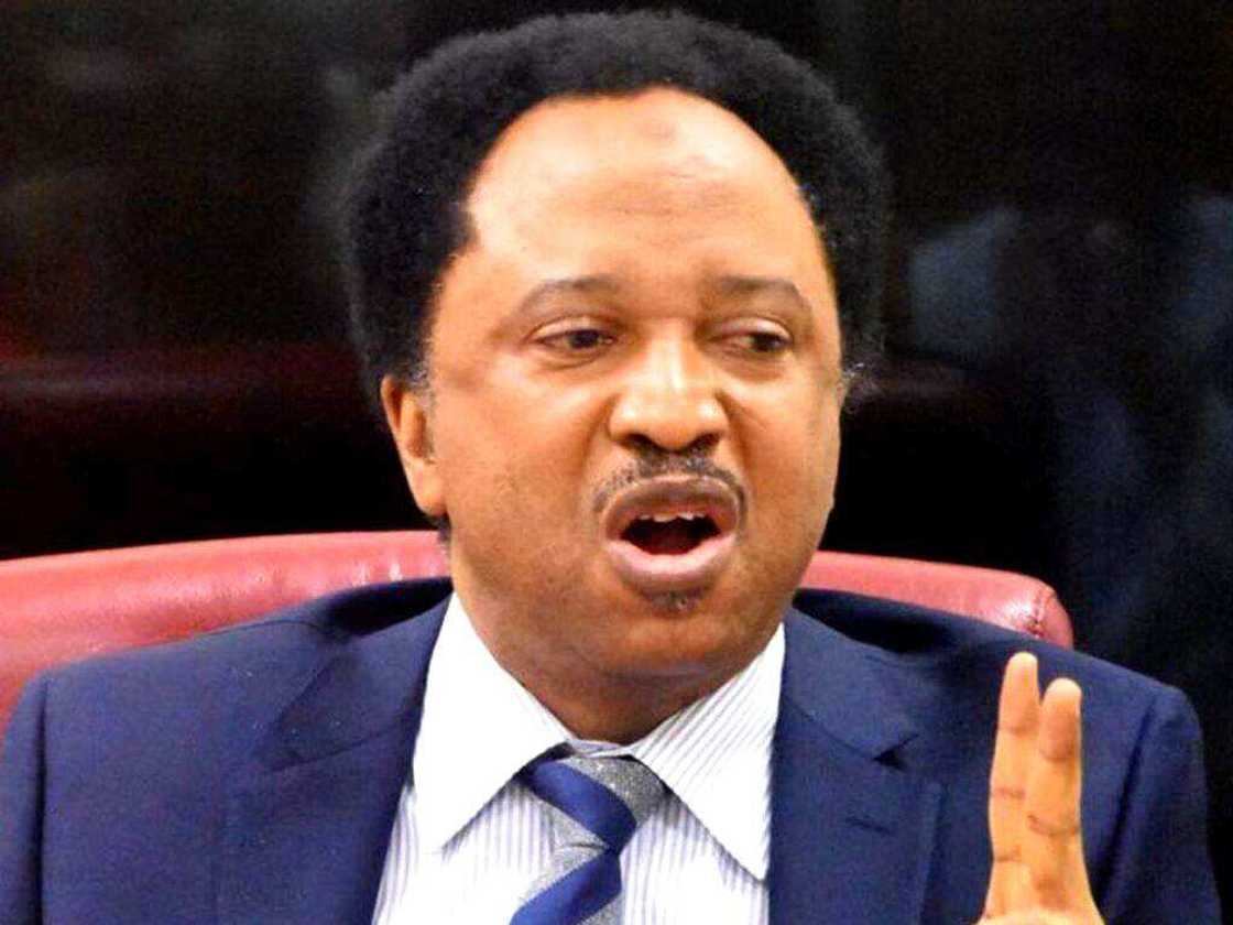 Shehu Sani Shehu Sani