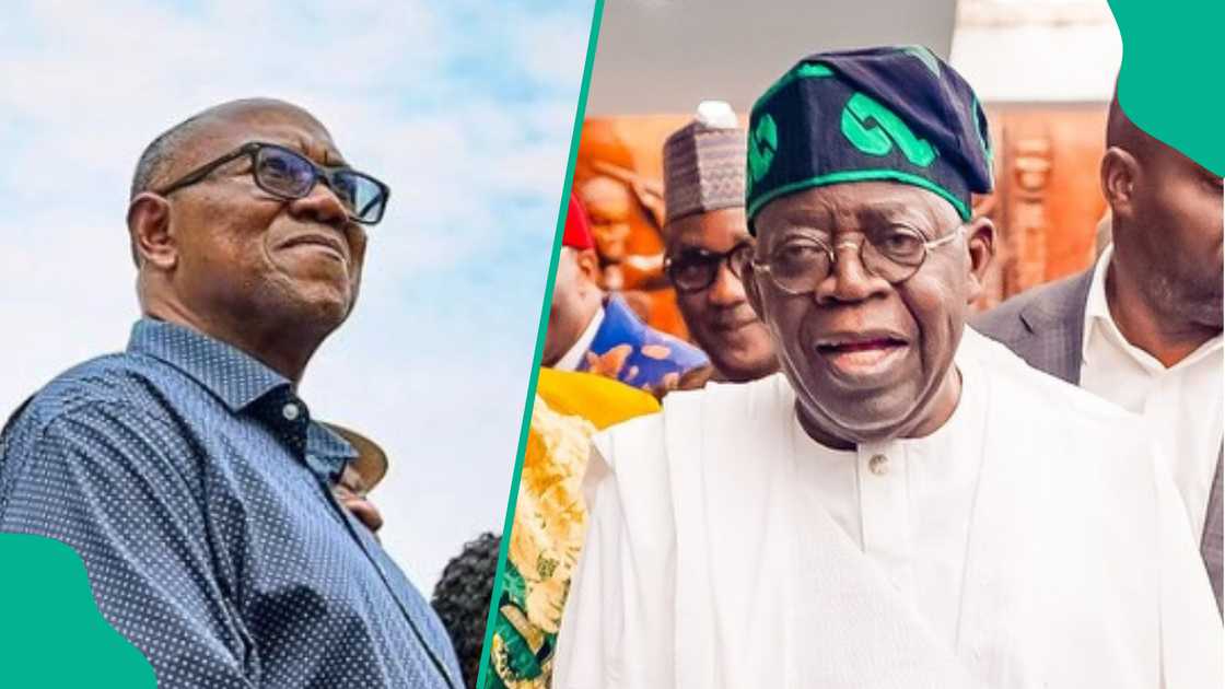 Peter Obi predicted to work for Tinubu ahead of the 2027 election Peter Obi predicted to work for Tinubu ahead of the 2027 election