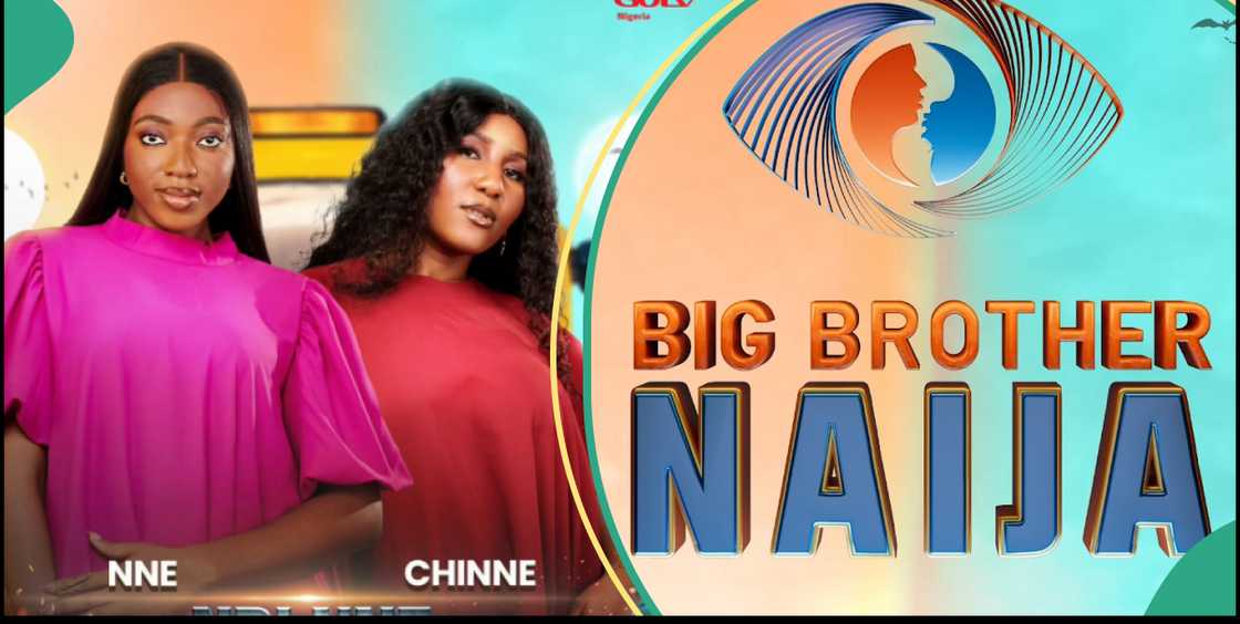 BBNaija Ndinee BBNaija Ndinee