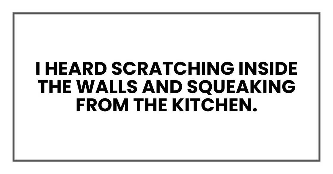 I heard scratching inside the walls and squeaking from the kitchen.