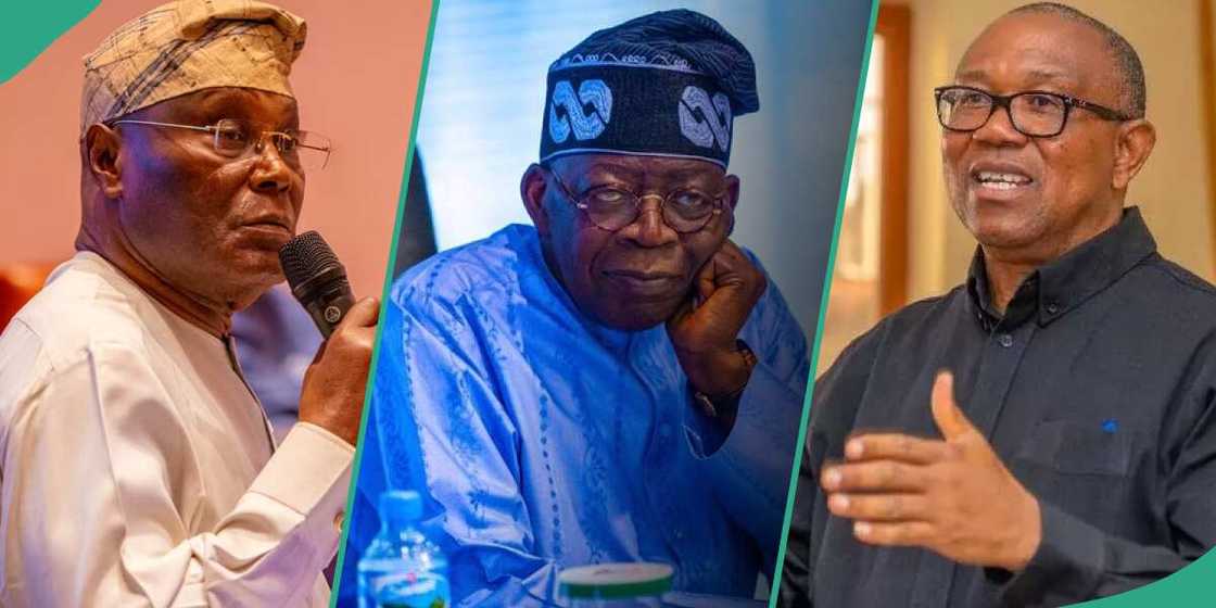 Political analyst explains why Obi, Atiku, others must conclude alliance against Tinubu in 2025 Political analyst explains why Obi, Atiku, others must conclude alliance against Tinubu in 2025