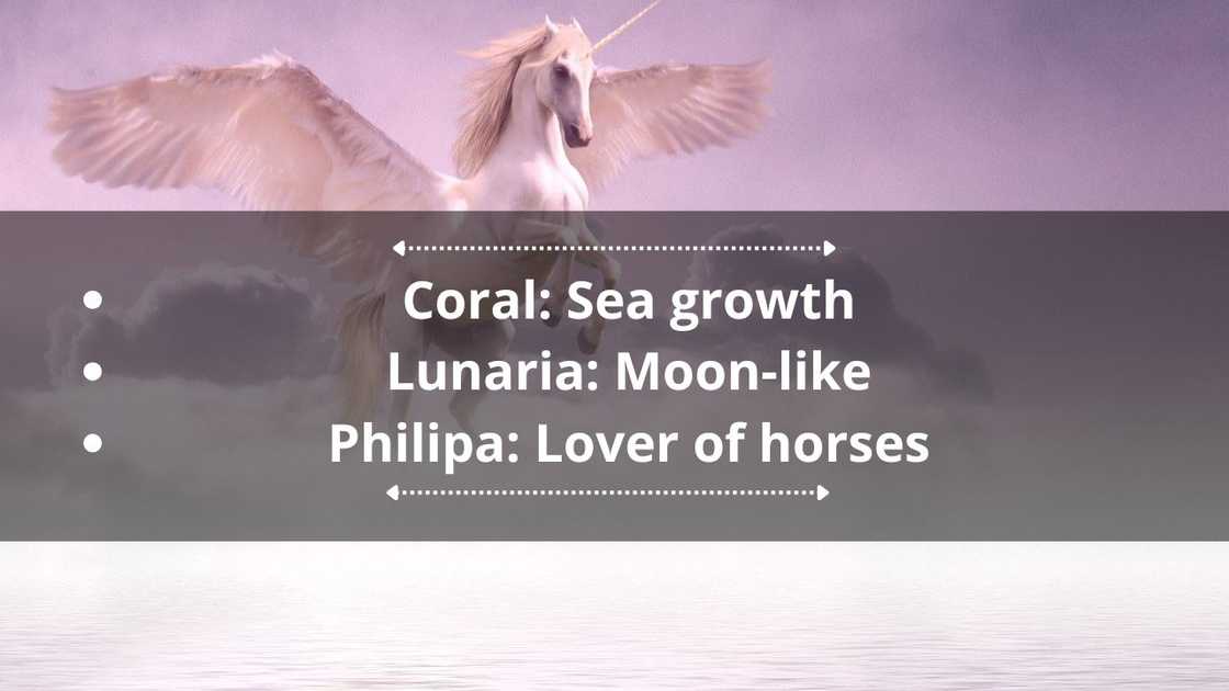 cool unicorn names