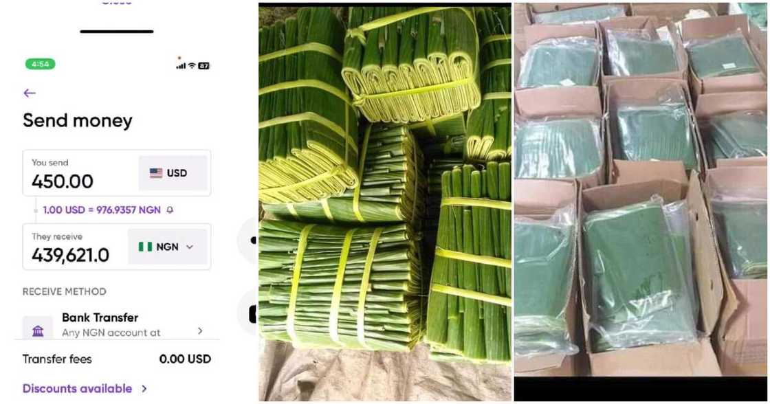 Olaedo Chiọma Irene, banana leaves Olaedo Chiọma Irene, banana leaves