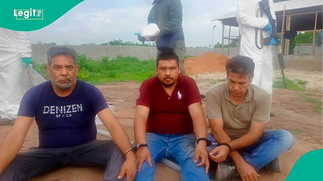 NDLEA exposes cartel using foreign experts and hidden farms to run industrial meth production in Nigeria NDLEA exposes cartel using foreign experts and hidden farms to run industrial meth production in Nigeria