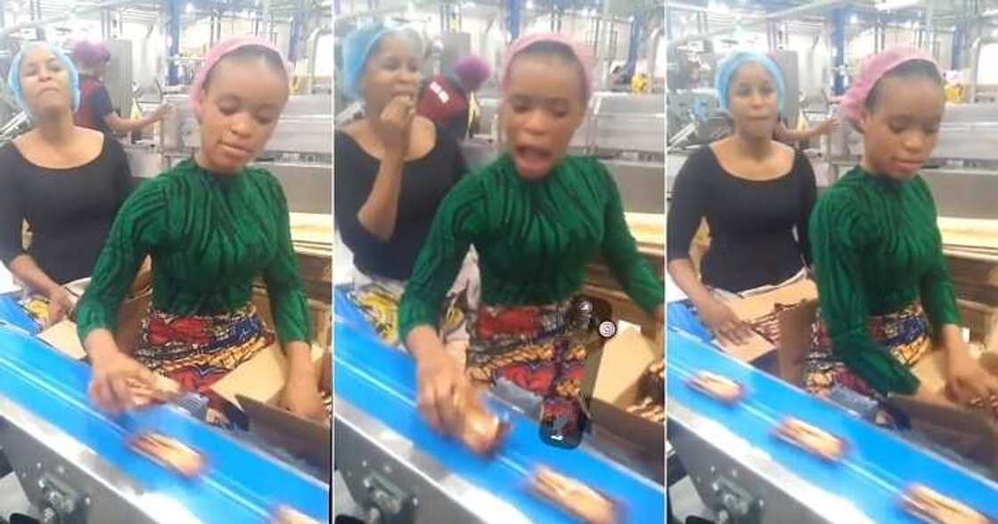 Yan mata a kamfanin yin biskit Yan mata a kamfanin yin biskit