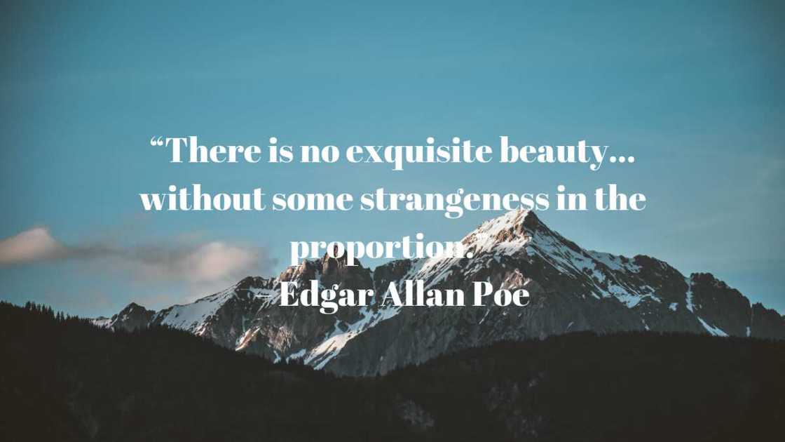 Quotes Edgar Allan Poe Quotes Edgar Allan Poe