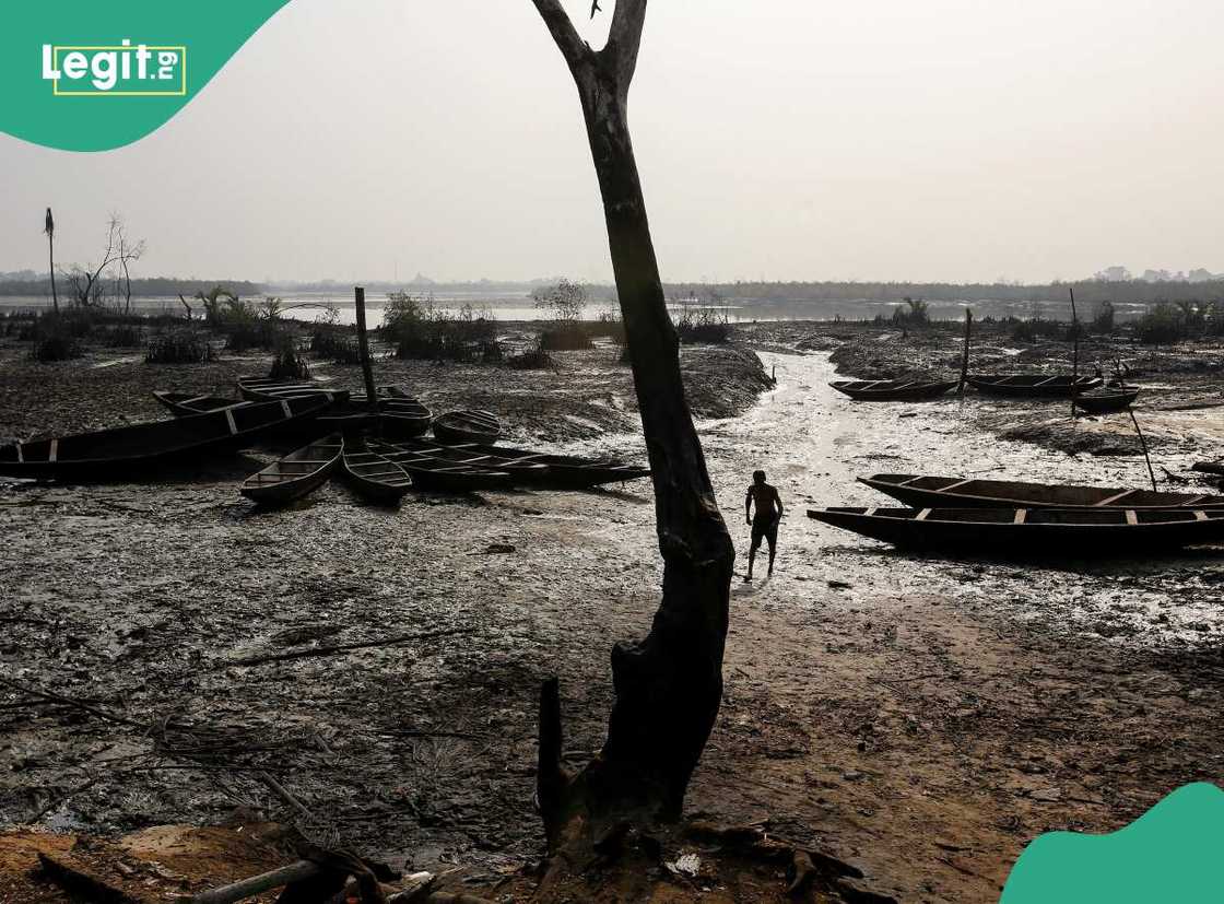 Niger-Delta region of Nigeria. Niger-Delta region of Nigeria.