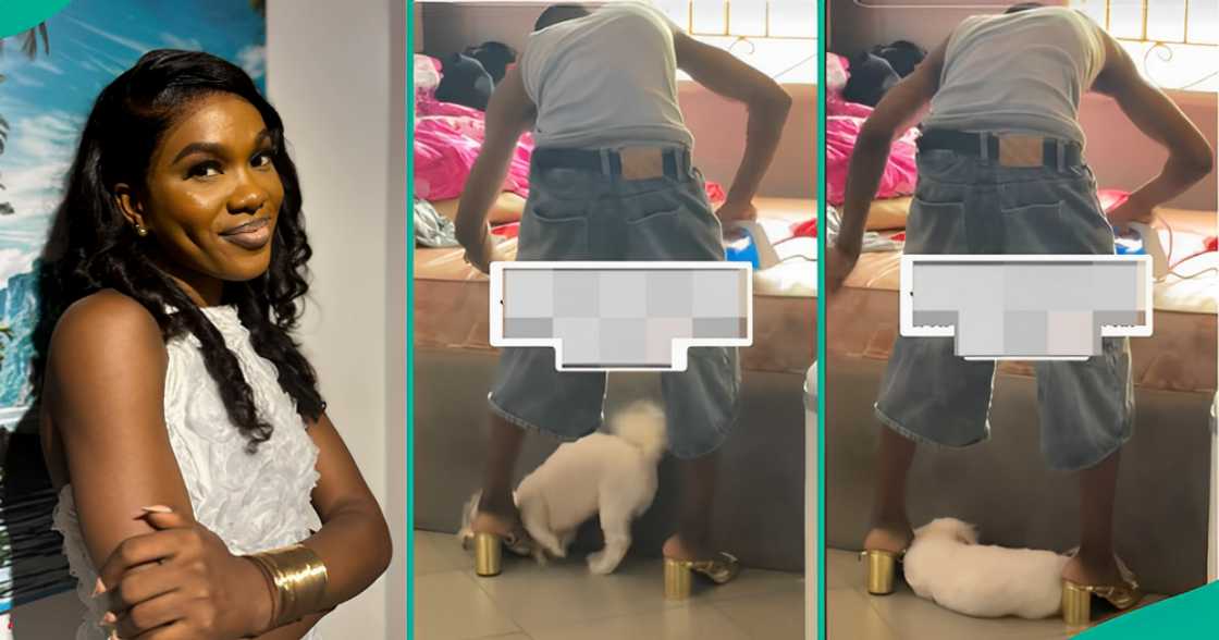 In a TikTok video, a lady shows her brother wearing heels while ironing clothes. In a TikTok video, a lady shows her brother wearing heels while ironing clothes.