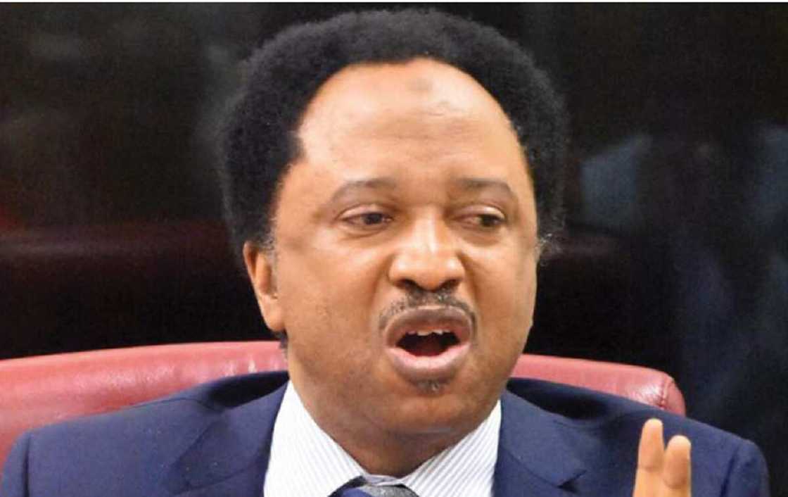 Labari Da Duminsa: Sanata Shehu Sani Ya Koma Jam'iyyar PDP