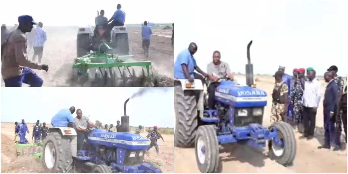 Governor Zulum harrows his own farm Governor Zulum harrows his own farm