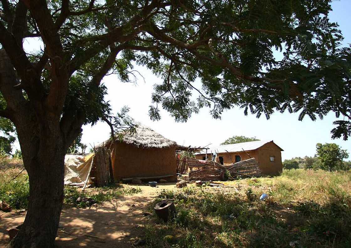 Bandits kill Over 20 in Fresh Attack on 5 Northern Communities Bandits kill Over 20 in Fresh Attack on 5 Northern Communities