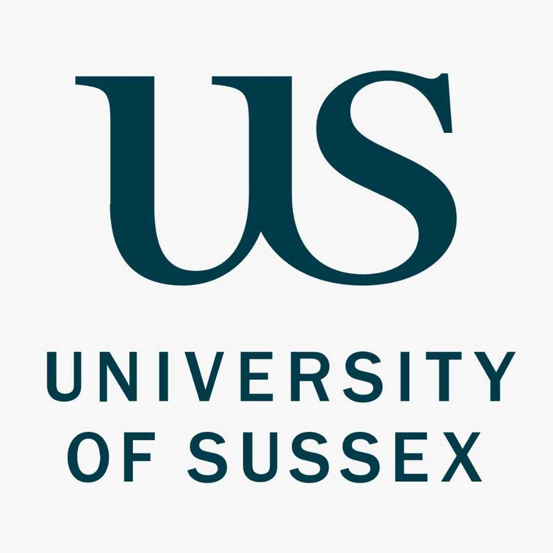 Testimonial: I Thoroughly Enjoyed Studying at the University of Sussex