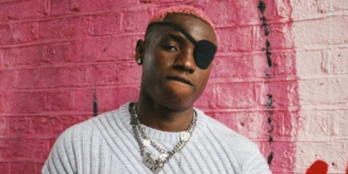Ruger, assault, Wizkid, Davido,Teni, music Ruger, assault, Wizkid, Davido,Teni, music