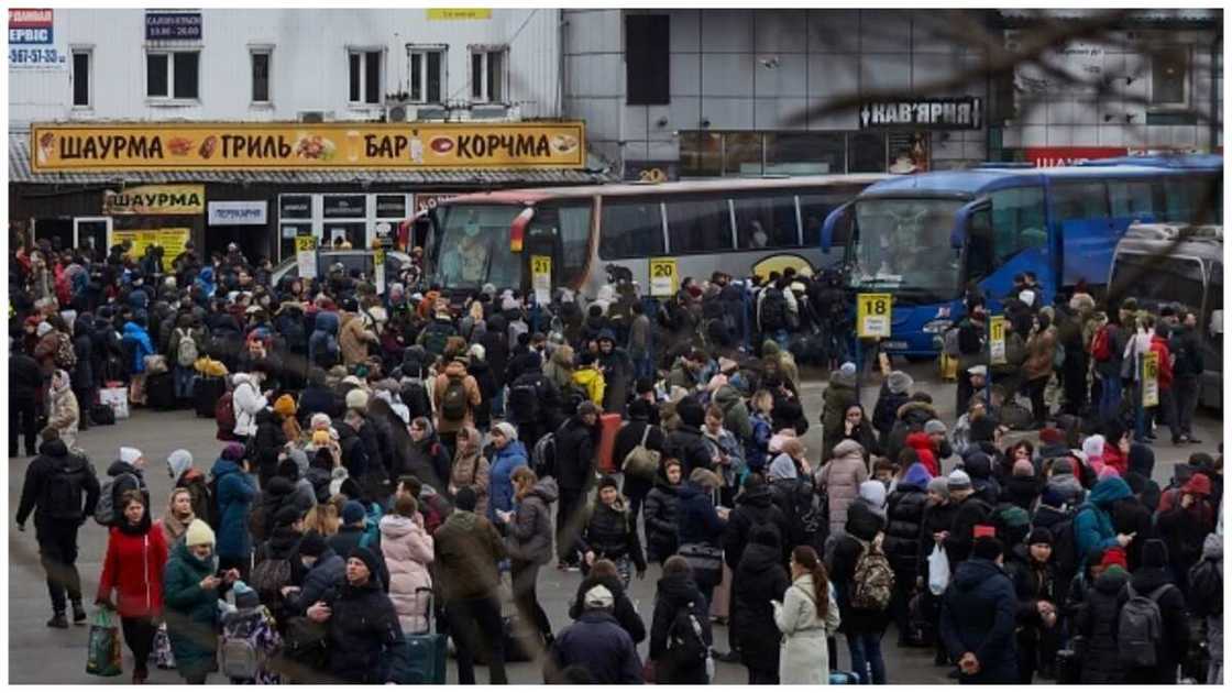 Breaking: Finally, Russia, Ukraine Start Their First Peace Talks Since Invasion Breaking: Finally, Russia, Ukraine Start Their First Peace Talks Since Invasion