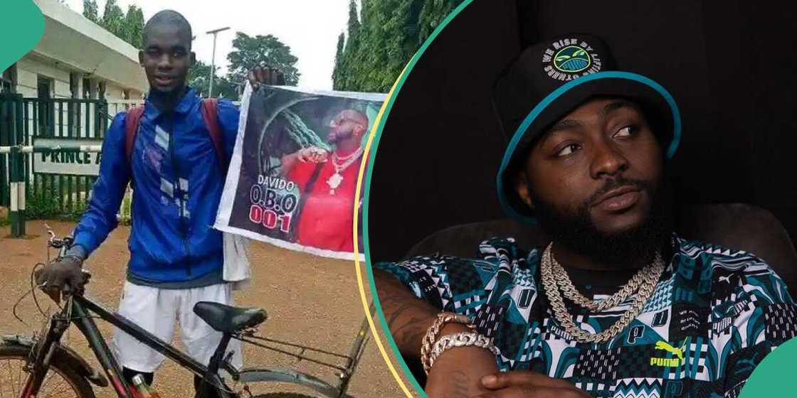 Davido Davido