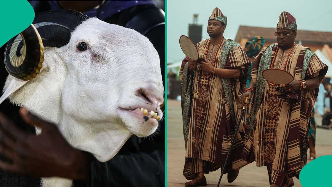 The Ojude Oba festival is set to be celebrated again as Muslims across the world celebrate another Eid al-Adha. The Ojude Oba festival is set to be celebrated again as Muslims across the world celebrate another Eid al-Adha.