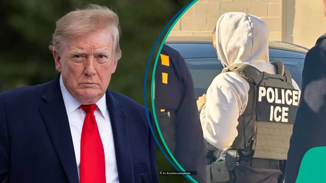 US lists 14 benefits available to ICE employees US lists 14 benefits available to ICE employees