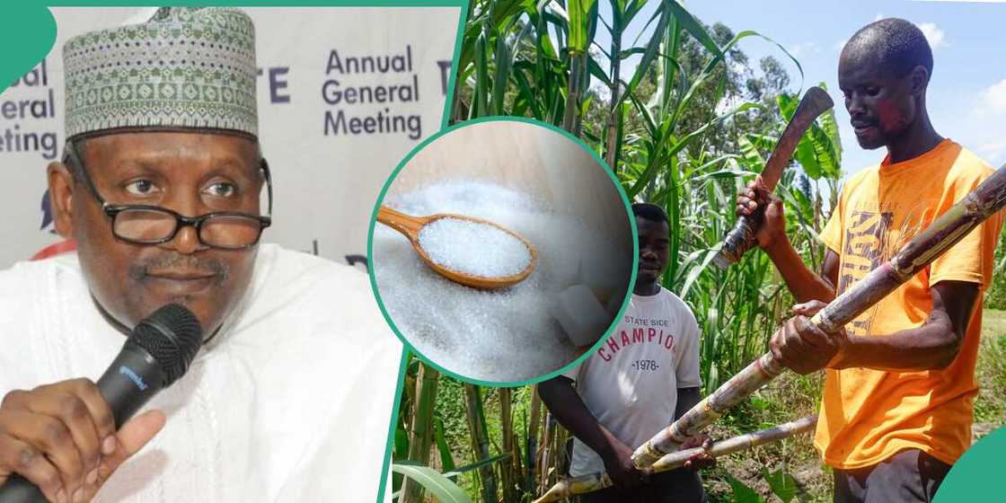 Dangote Sugar eyes record production