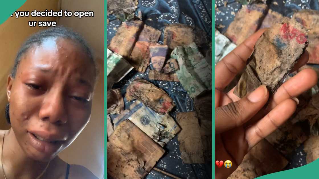 Nigerian lady who saved money in a box. Nigerian lady who saved money in a box.