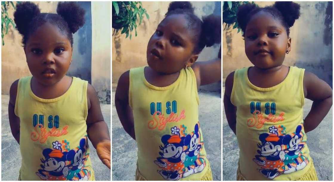 Cute baby girl who rejected body-shaming from a man. Cute baby girl who rejected body-shaming from a man.