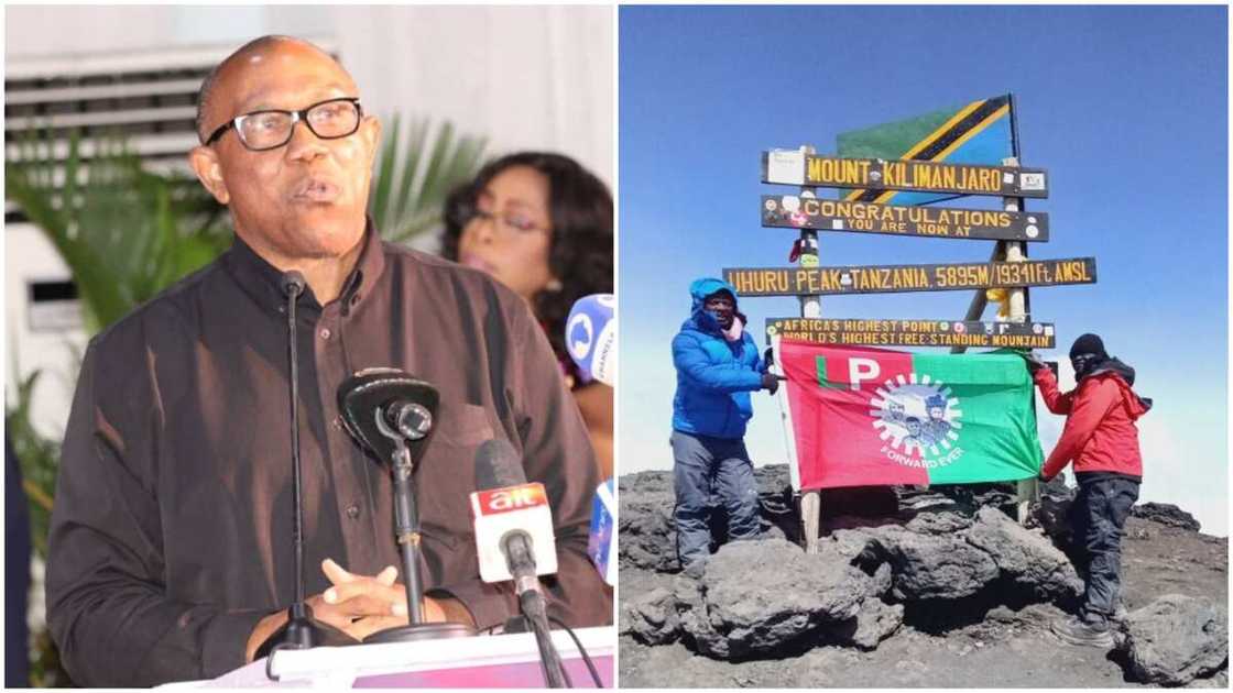 Mount Kilimanjaro/Peter Obi/Labour Party Campaign/2023 General Election