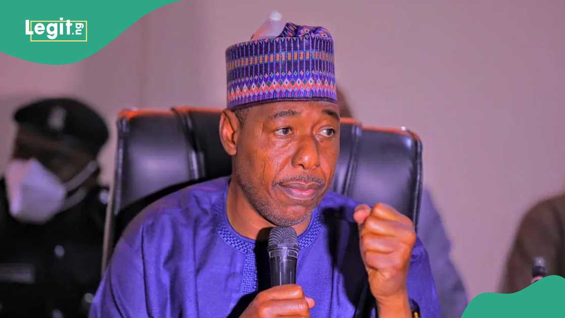 Borno gov sends message to Tinubu, military Borno gov sends message to Tinubu, military