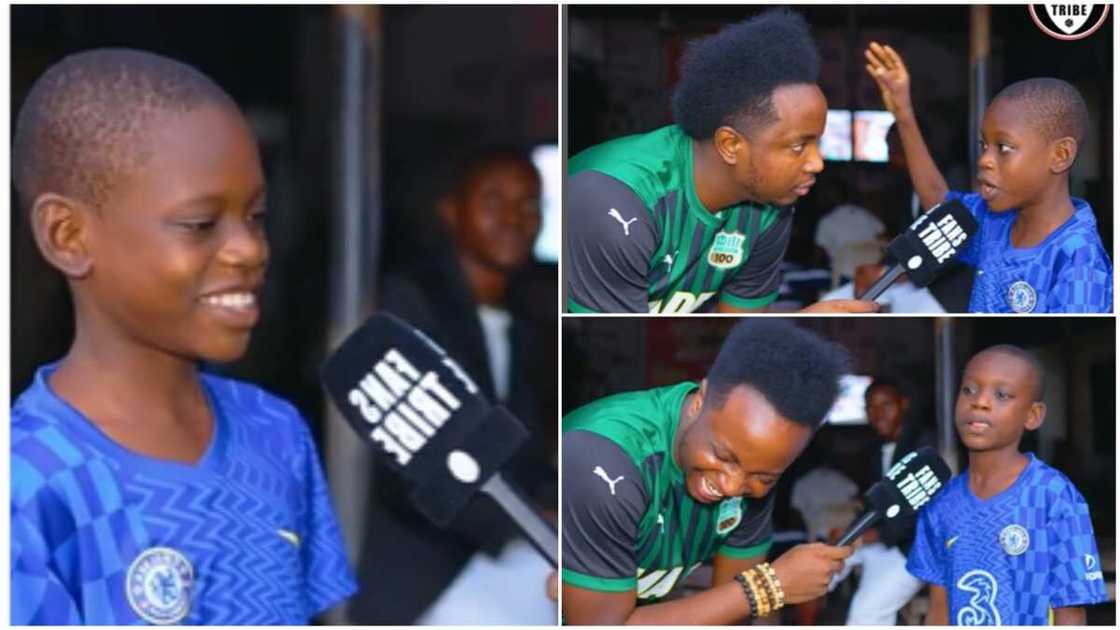 Tottenham vs Chelsea match/Antonio and Conte red cards Tottenham vs Chelsea match/Antonio and Conte red cards