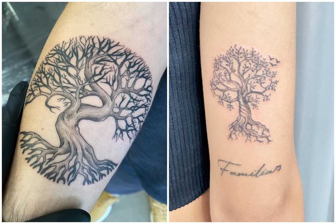 Oak Tree of Life tattoo