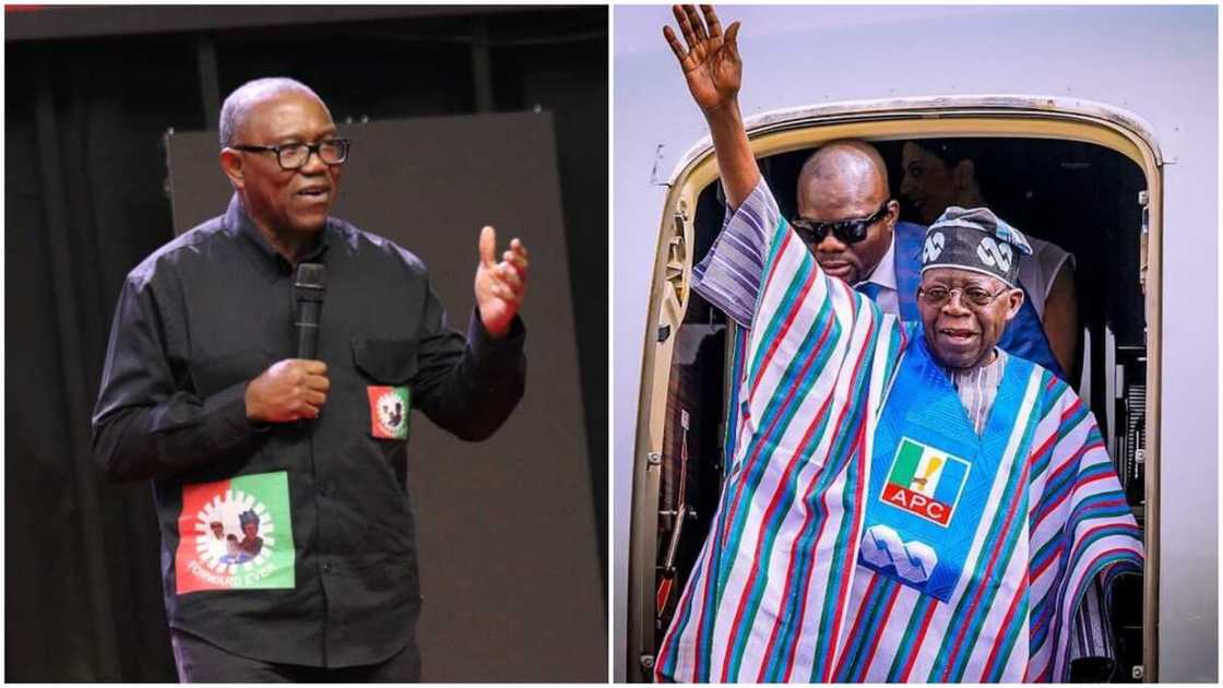 Peter Obi/Bola Tinubu/APC/Labour Party/2023 Election Peter Obi/Bola Tinubu/APC/Labour Party/2023 Election