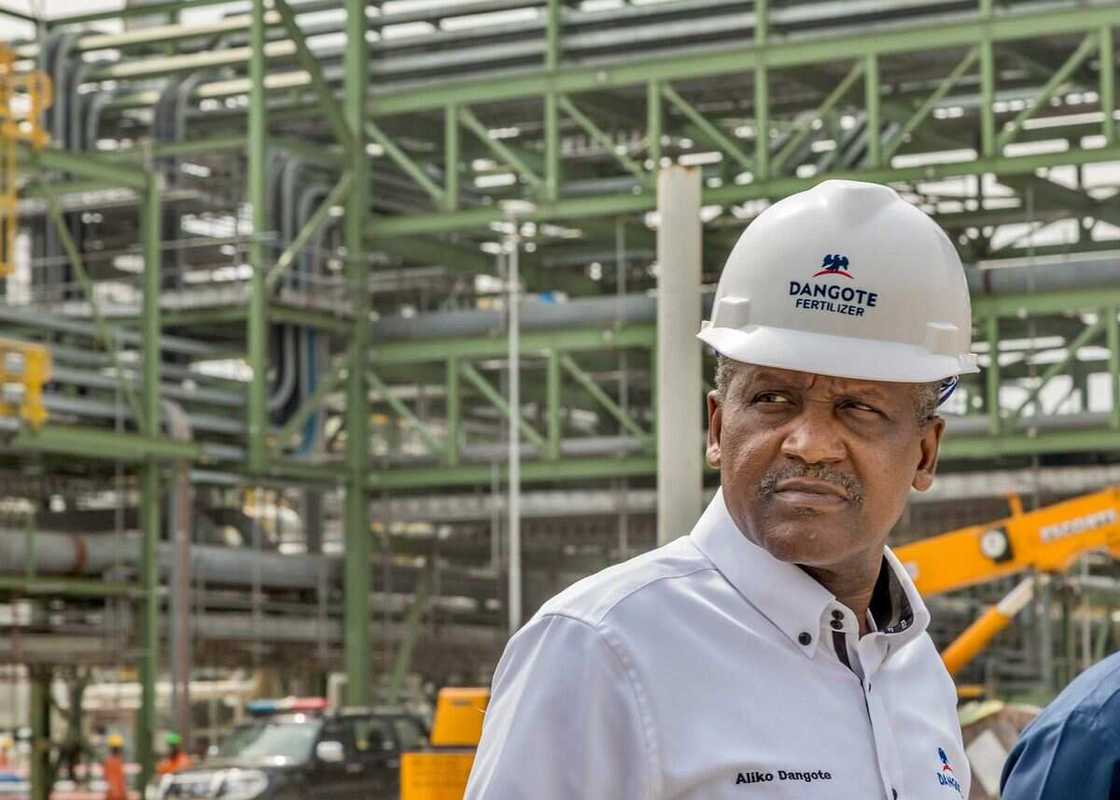 Gwamnatin tarayya ta ware Dangote daga dokar rufe iyakokin kasa