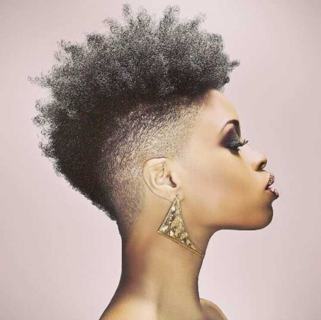 natural hairstyles for black women natural hairstyles for black women