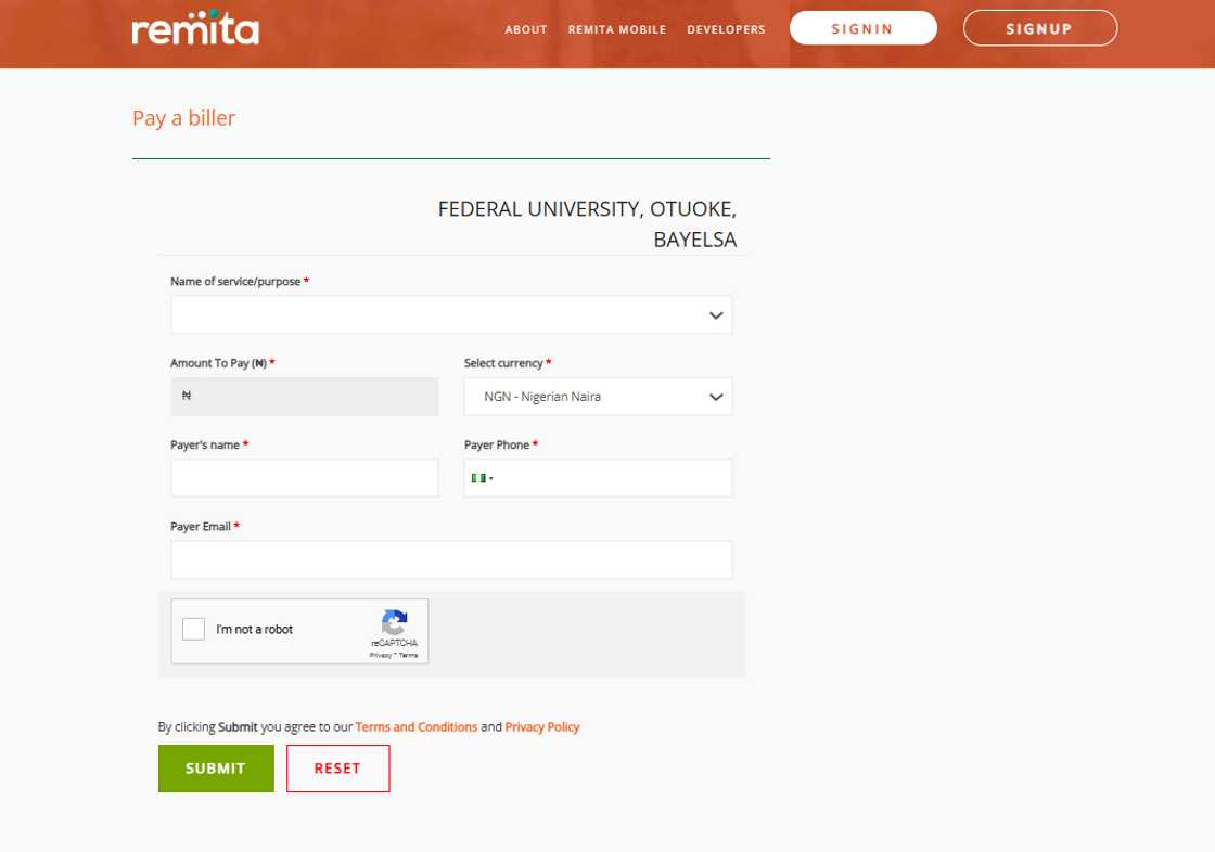 Remita platform