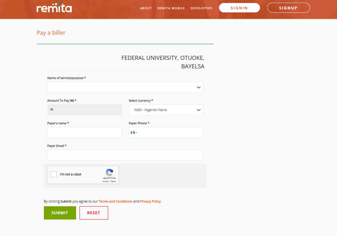 Remita platform Remita platform