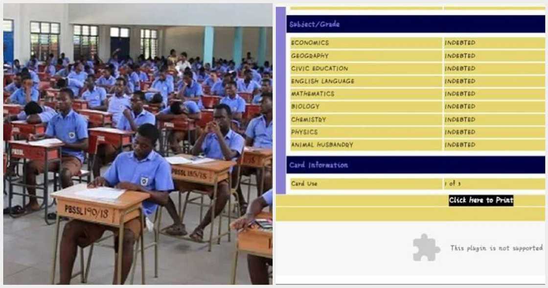 WAEC candidates Nigeria WAEC candidates Nigeria