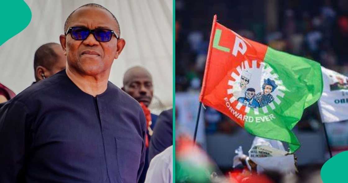 Umar Farouk Ibrahim, factional national secretary of the Labour Party (LP), says Peter Obi may be dumped by the party in the 2027 election.
