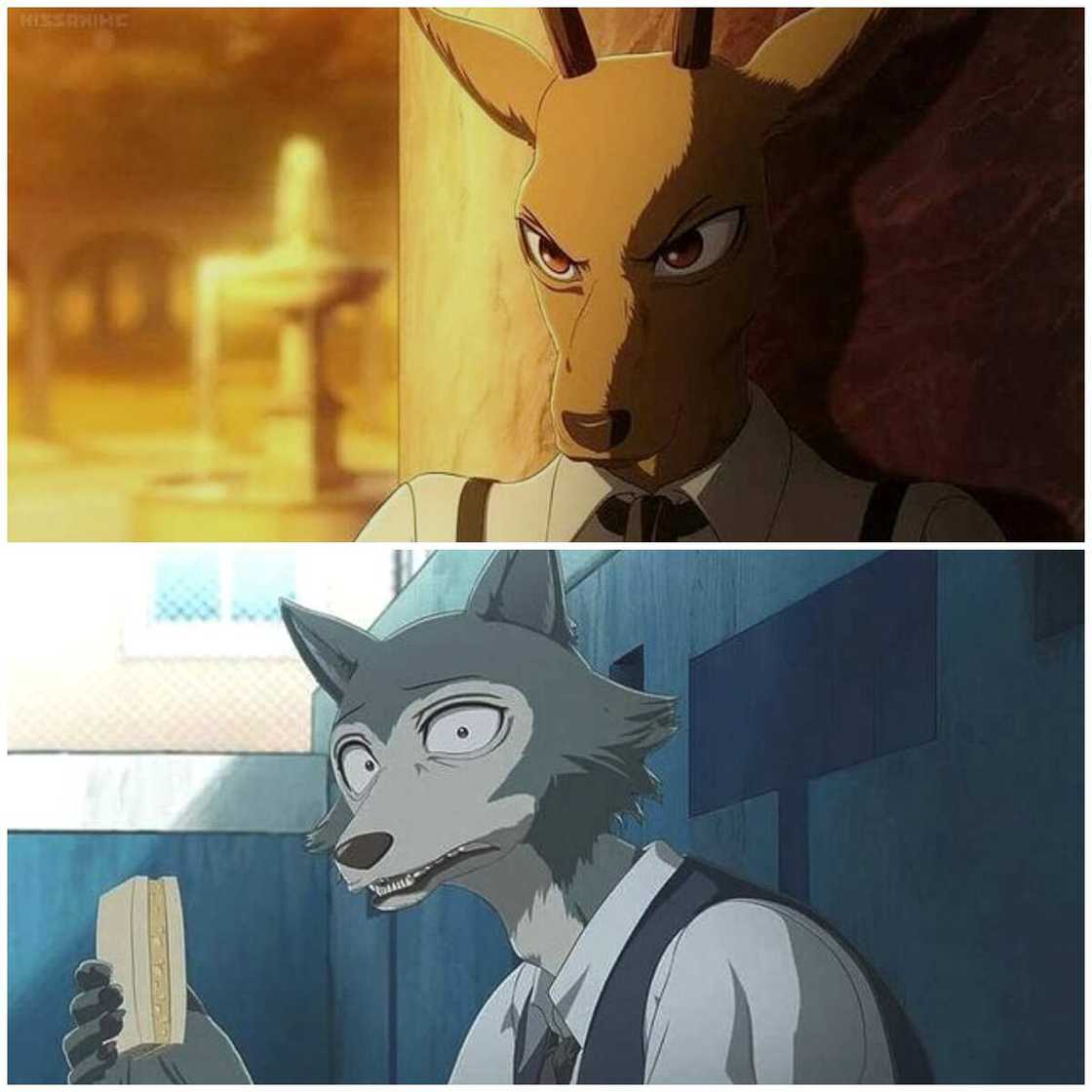 Les carnivores et herbivores de Beastars Les carnivores et herbivores de Beastars