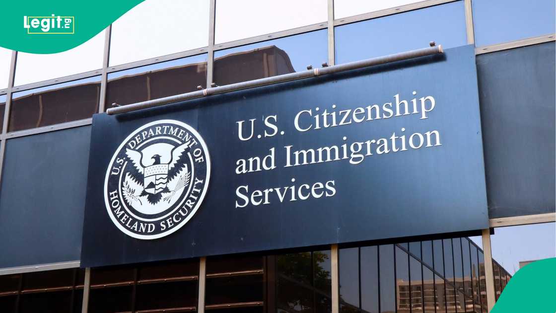 Nigerian man arrested at US Immigration office after alleged $300k theft and visa fraud