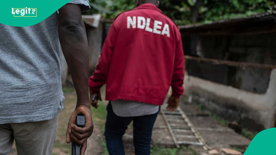 National Drug Law Enforcement Agency, Femi Babafemi, Buba Marwa, Lagos State, Anti-narcotics war